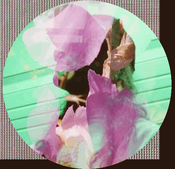 A double exposure of a dude, in a hat, and an iris. The colors are weird.